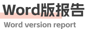 Word版報(bào)告